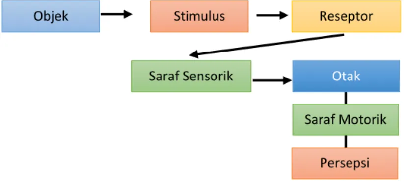 Gambar 2. Alur Proses Persepsi 25