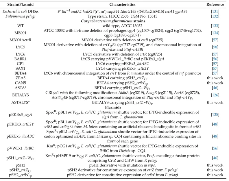 Table 1. Strains and plasmids used in this study.