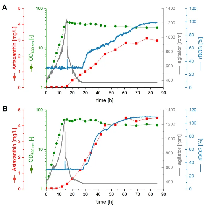 Figure  5.  Batch-Fermentations.  Progression  of  astaxanthin  content  (red  squares),  OD 600  nm  (green  dots), agitator speed (grey line), and relative dissolved oxygen concentration (rDOS) (blue line) over  time during 2 L batch fermentations with C