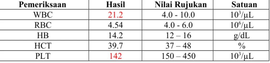 Tabel 2. Kimia Darah (19/03/2024)