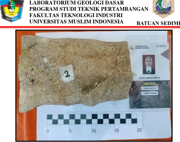 Gambar 4.5  Batu Pasir Karbonat 