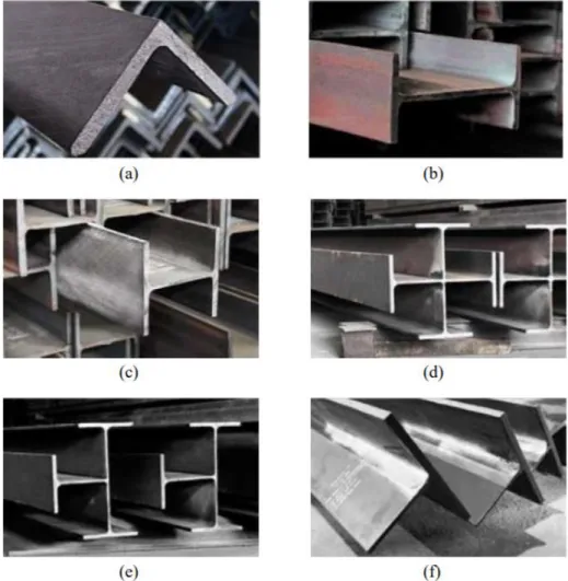 Gambar 1.6 (a) Equal Angle (b) Wide Flange (c) H-Beam (d) King Cross (e)  Queen Cross (f) Tee Section  