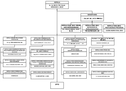 Gambar 3.1 Struktur organisasi dari Dinas Kesehatan Kabupaten Cianjur 
