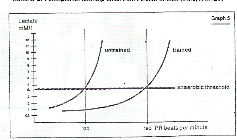 Gambar 2. Peningkatan ambang anaerobik setelah latihan (Pate,1989:23)