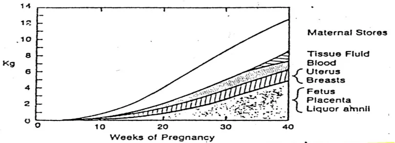 Gambar 1. Distribusi penambahan berat badan pada kehamilan normal (Wells 