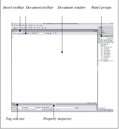 Gambar 2.12 Area kerja Dreamweaver