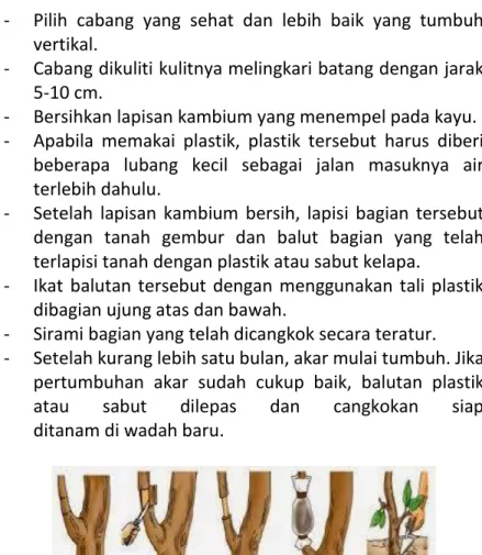 Gambar 6 Cara Mencangkok Tanaman 