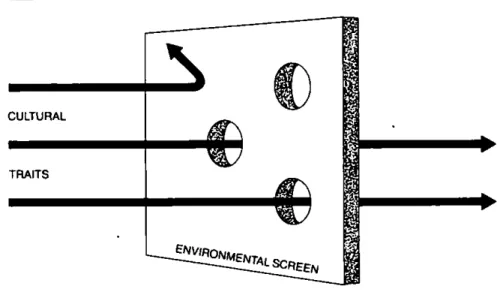Figure 1. T h e model of environmental determinism. 