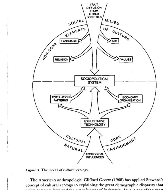 Figure 3.  T h e model of cultural ecology. 