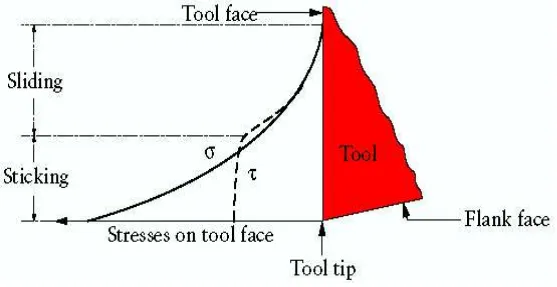 FIGURE: Schematic illustration of the distribution of normal and shear stresses at the tool-chip interface (rake face)