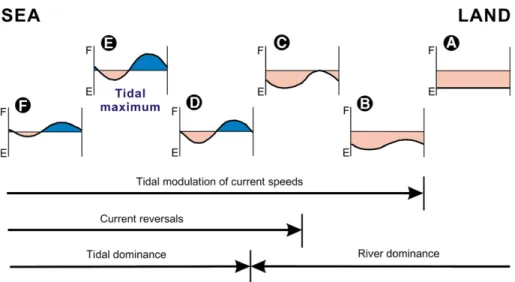 Fig. 14. Simplified schematic representation of the change in the nature of current patterns over a tidal period in the transition for purely river flow at right, to purely tidal flow in the sea at left