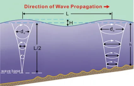 Fig. 2. Diagram showing the decrease in the intensity of wave-orbital motion with increasing depth in a water body