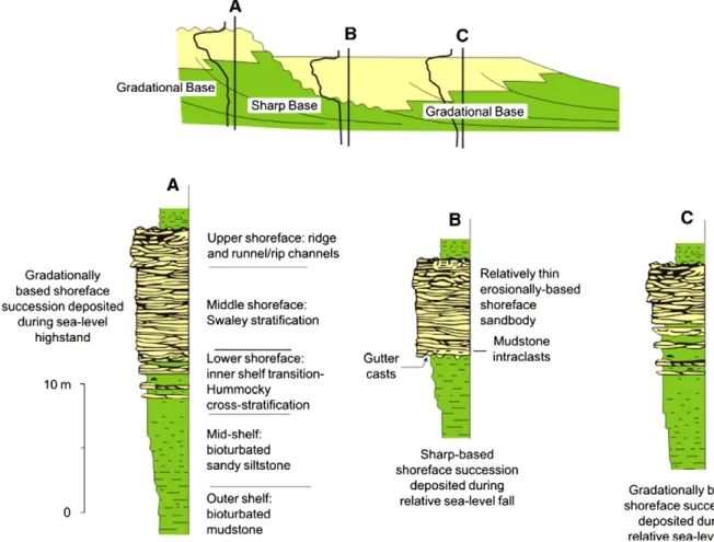 Fig. 3. Depositional model for a prograding wave-dominated shoreline to shelf environment