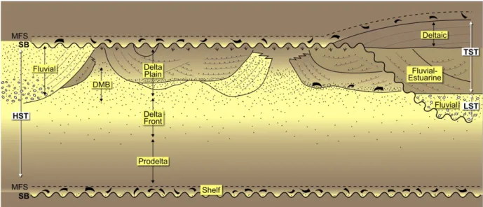 Fig. 7. Schematic vertical cross section of a tide-dominated delta, based on the Fly River delta, Papua New Guinea (see map view in Fig