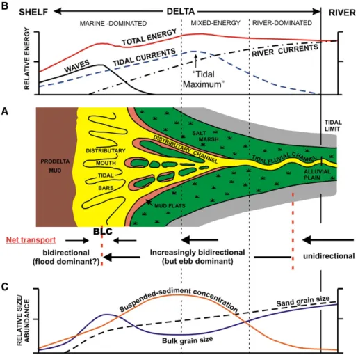 Fig. 11. (A) Schematic map of a tide-dominated delta (sensu lato), based loosely on the Fly River delta, Papua New Guinea