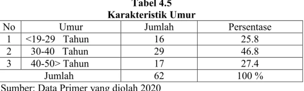 Tabel 4.5  Karakteristik Umur 