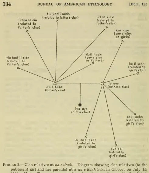 Figure 2. — Clan relatives at na e tlanh. Diagram showing clan relatives (to the pubescent girl and her parents) at a na e ilanh held in Cibecue on July 15, 1961