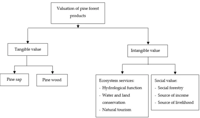 Figure 5. Multiple benefits of pine forest [111]. 