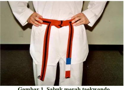 Gambar 1. Sabuk merah taekwondo 