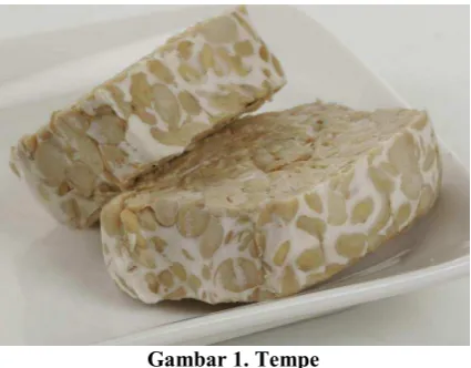 Gambar 1. Tempe 