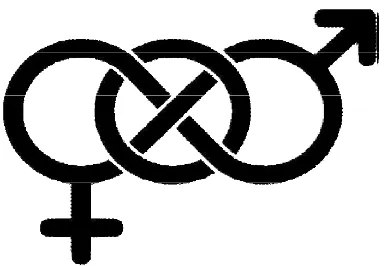 Gambar 3.1 Ilustrasi Lambang Biseksual 
