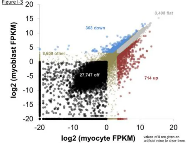 Figure I-3: Expression of all genes in C2C12 myoblasts and myocytes.  With  respect to RNA expression analysis presented in later thesis chapters, the values 