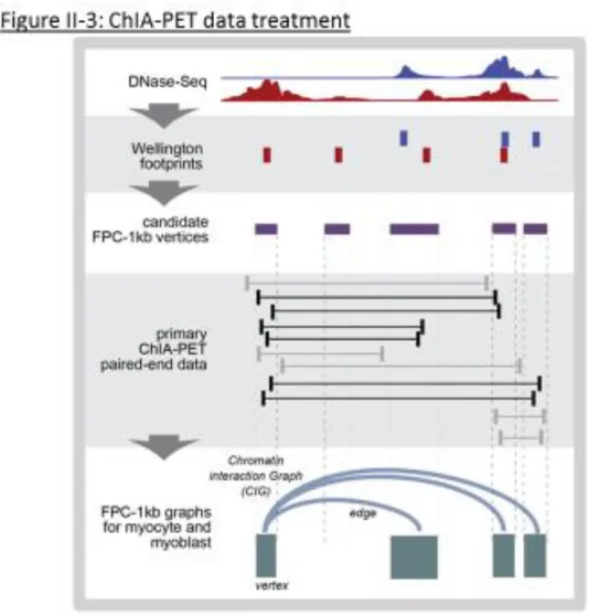 Figure II-3: ChIA-PET data processing.  DNase-Seq data was collected for C2 