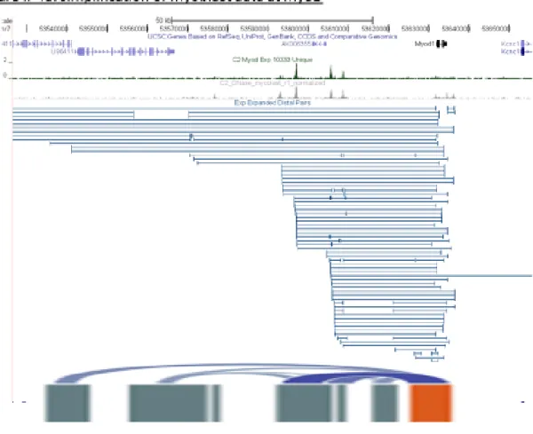 Figure II-4A: ChIA-PET data processing example: myoD. Myoblast factor occupancy  (green: myoD; gray: DNase) is shown over raw ChIA-PET paired-end tags (light blue) at  the myoD locus