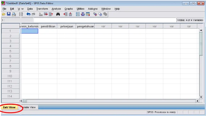 Gambar 8. Jendela Data View 