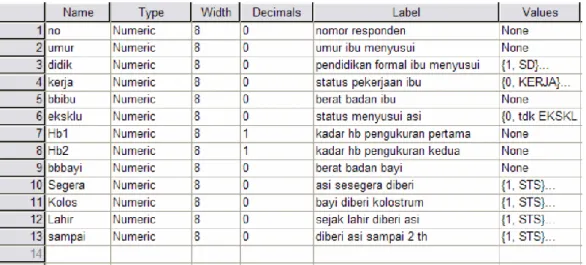 Gambar 16. Jendela Variabel View 