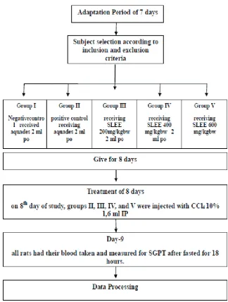Figure 1 Procedure