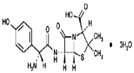 Gambar 1. Rumus Struktur Amoksisilin (USP 30 dan NF 25, 2007) 