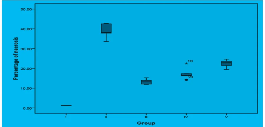 Figure 2 Box-Plot Graphic of Percentage of necrosis based on groups