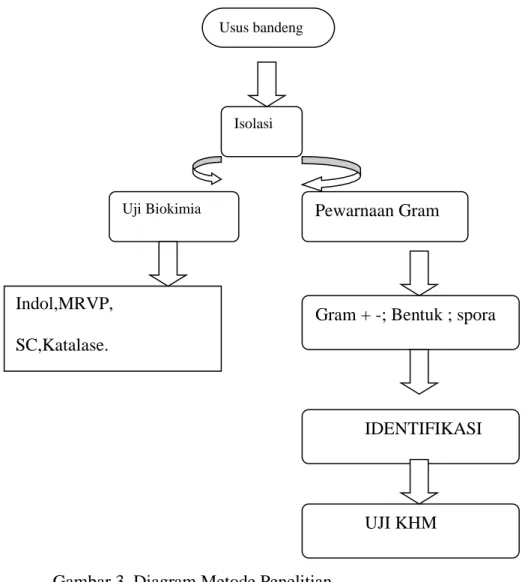 Gambar 3. Diagram Metode Penelitian 