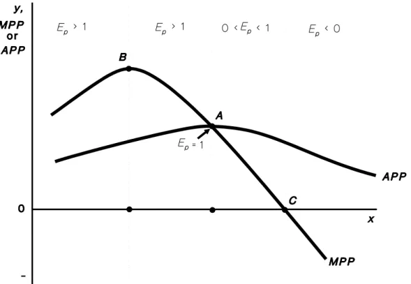 Figure 2.6   MPP, APP and the Elasticity of Production