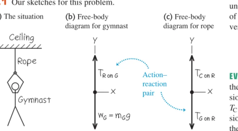 diagram for gymnast