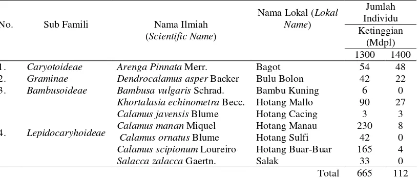 Tabel 1.  Spesies Palmae dan Bambu di Kecamatan Lumban Julu Pada Kawasan KPHL Model Unit XIV, Tobasa   