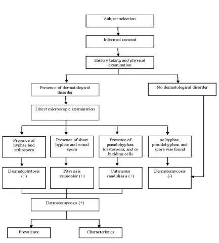 Figure 1 Flow of Research Procedure