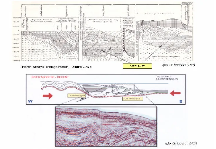 Figure  8  - Schematic section across North Serayu  Trough/Basin, northern Central Java showing the evolution of subsidence from Miocene to Holocene