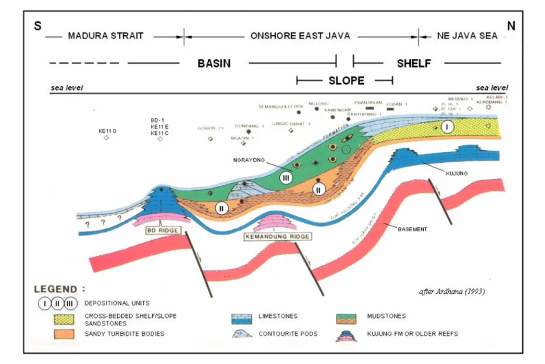 Figure 9 - Schematic section showing depositional environments of the Ngrayong sediments from shelf through slope to basin areas