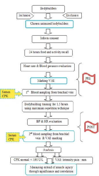 Figure 1 Research Flows