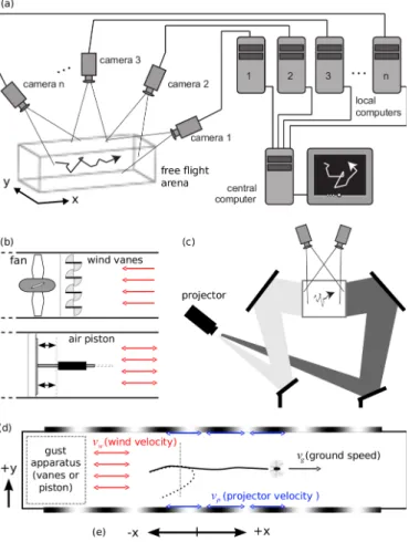 Figure 2.2: Diagram of experimental apparatus. An array of cameras and a cluster of computers processing video images triangulated the position of ies in real-time (a)