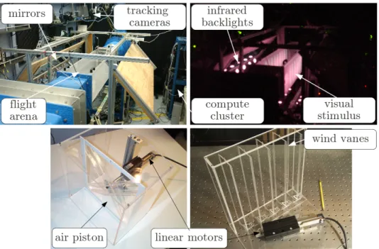 Figure 2.3: Photographs of the free-ight tracking (top) and wind gusting apparatuses (bottom)