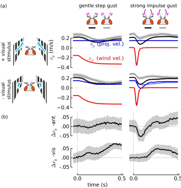 Figure 2.5: Flies' antenna-mediated response to wind gusts is much faster than their visual response