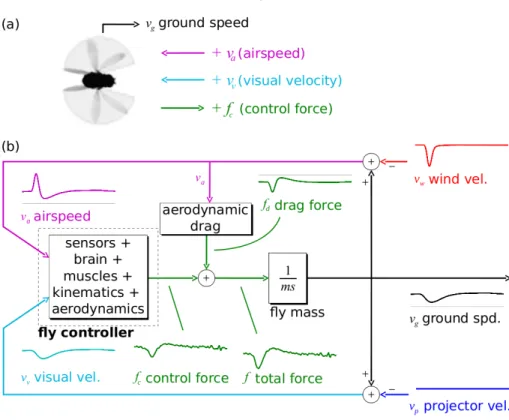 Figure 3.1: A diagram of how tunnel-frame inputs and outputs are transformed into y- y-frame inputs and outputs
