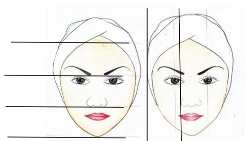 Gambar 1.  Pembagian wajah secara vertikal dan horizontal 