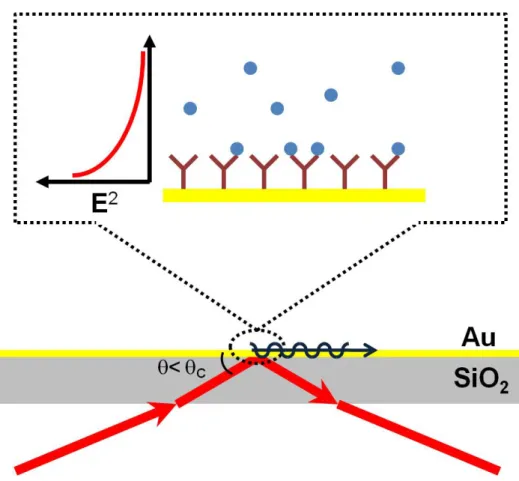 Figure 2.7: Surface plasmon resonance (SPR). Here a surface-propagating wave is generated via total internal reection in a thin gold lm deposited on silica in order to excite a surface plasmon in the metal