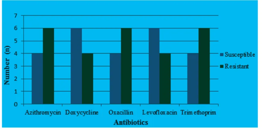 Figure 1 Antimicrobial Susceptibility Test of five S. pneumonia isolates