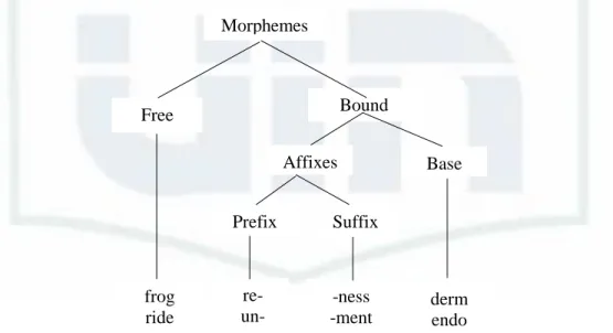 Figure 2.1 Types of Morphemes (Lieber, 2009, p. 34) Bound  