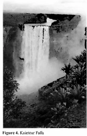 Figure 4. Kaieteur Falls 